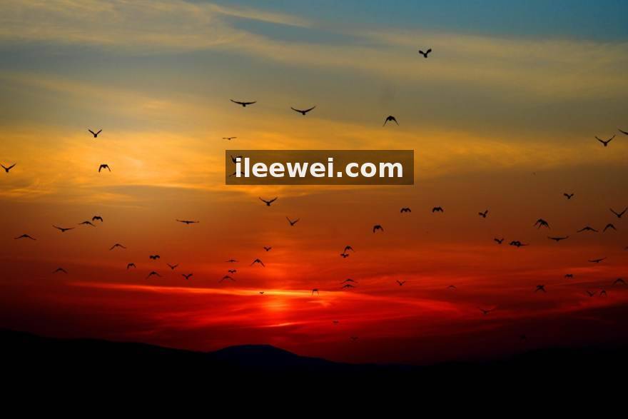 威客电竞 · 版本更迭下的转型样本：一位DOTA2三号位选手的自我重塑